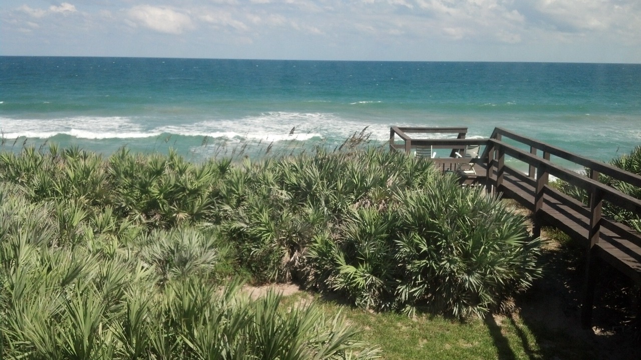 Photo of Others in Melbourne Beach