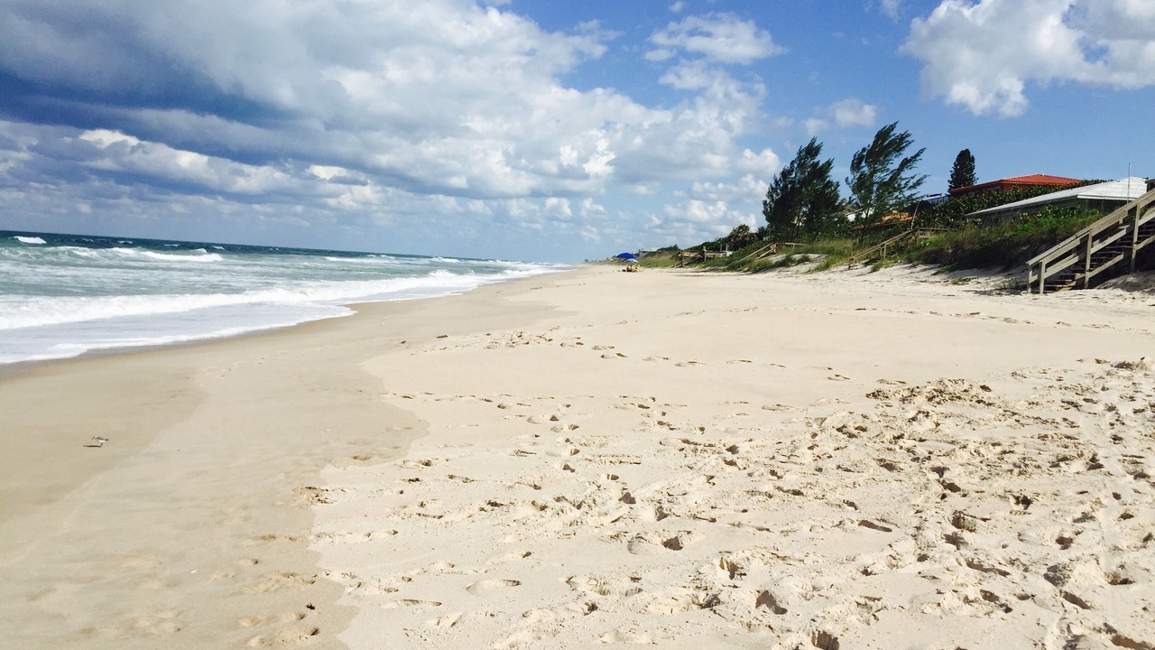 Photo of Others in Melbourne Beach