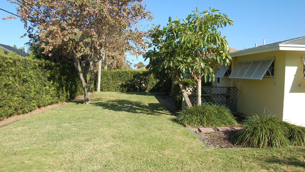 Photo of Outdoor in Juno Beach