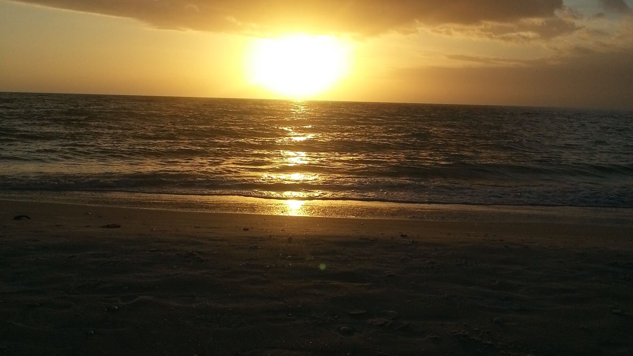 Photo of Others in Marco Island