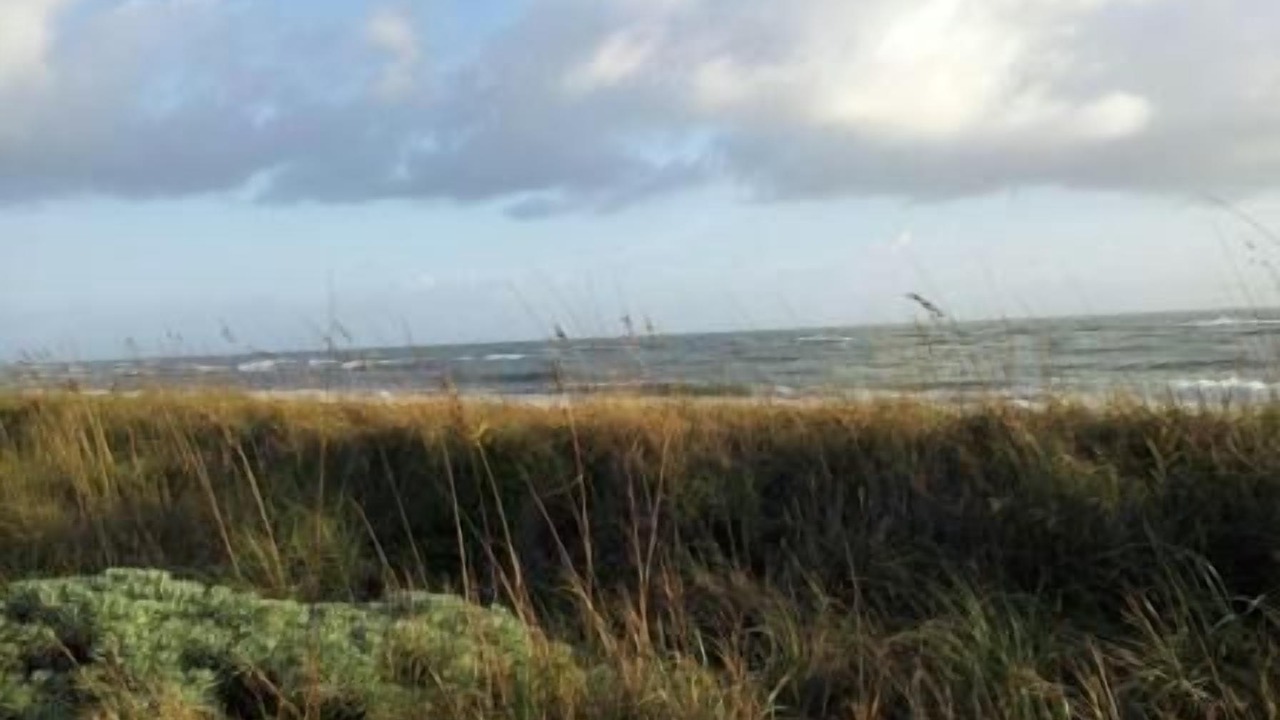 Photo of Others in Fort Pierce