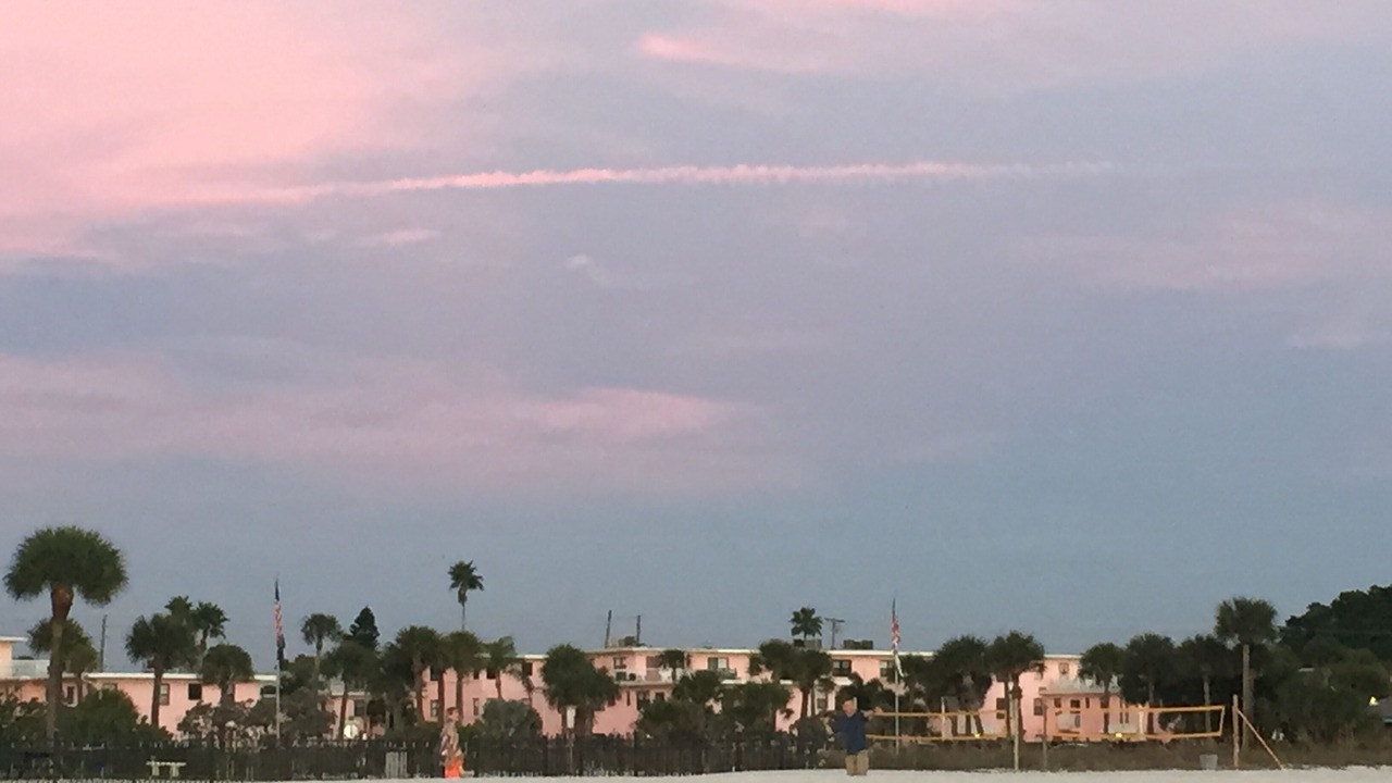 Photo of Others in St. Pete Beach