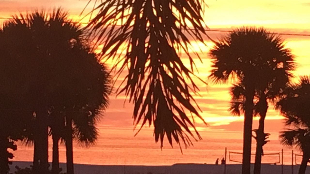 Photo of Others in St. Pete Beach