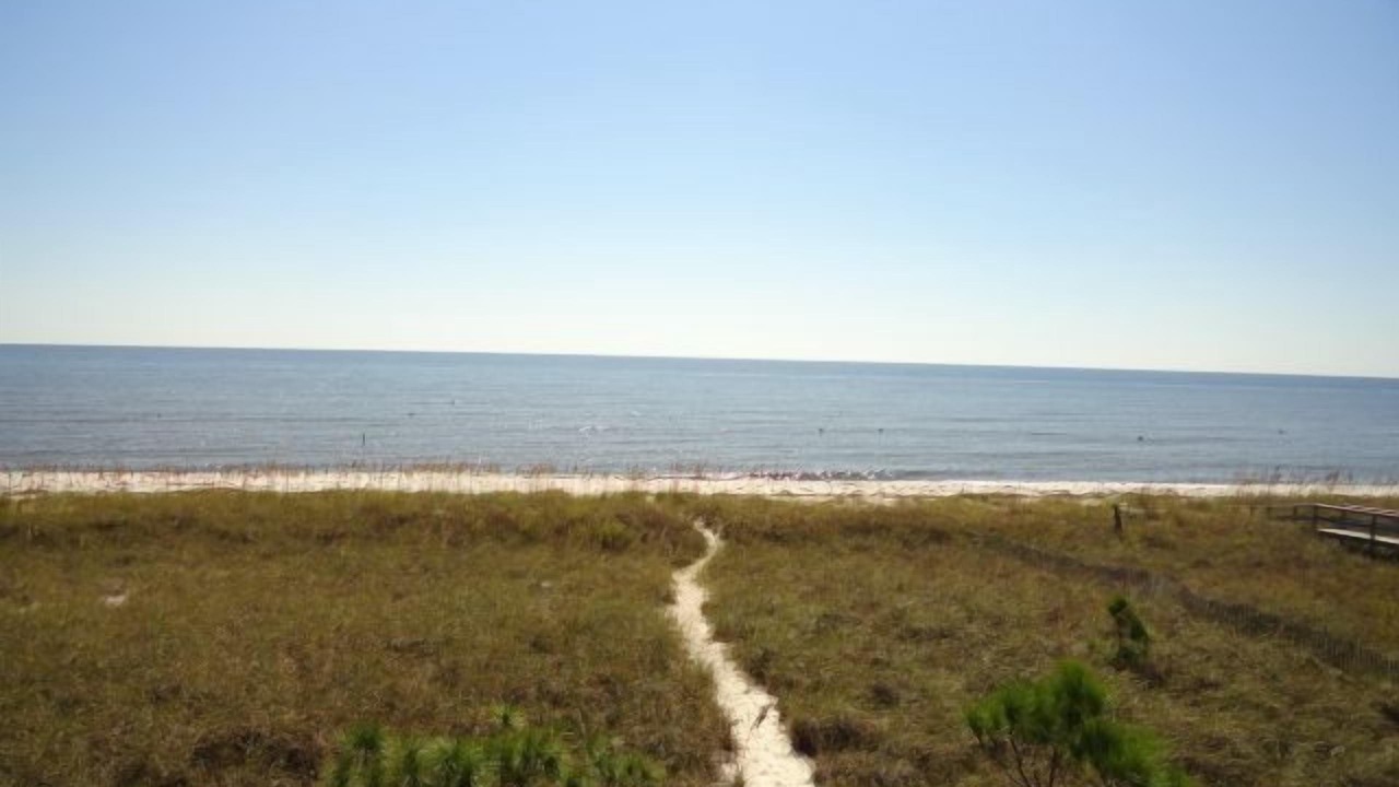 Photo of Outdoor in Alligator Point