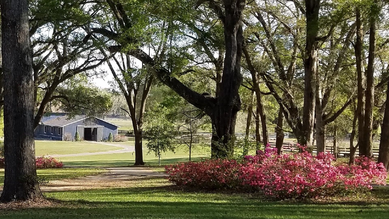 Photo of Outdoor in Citra