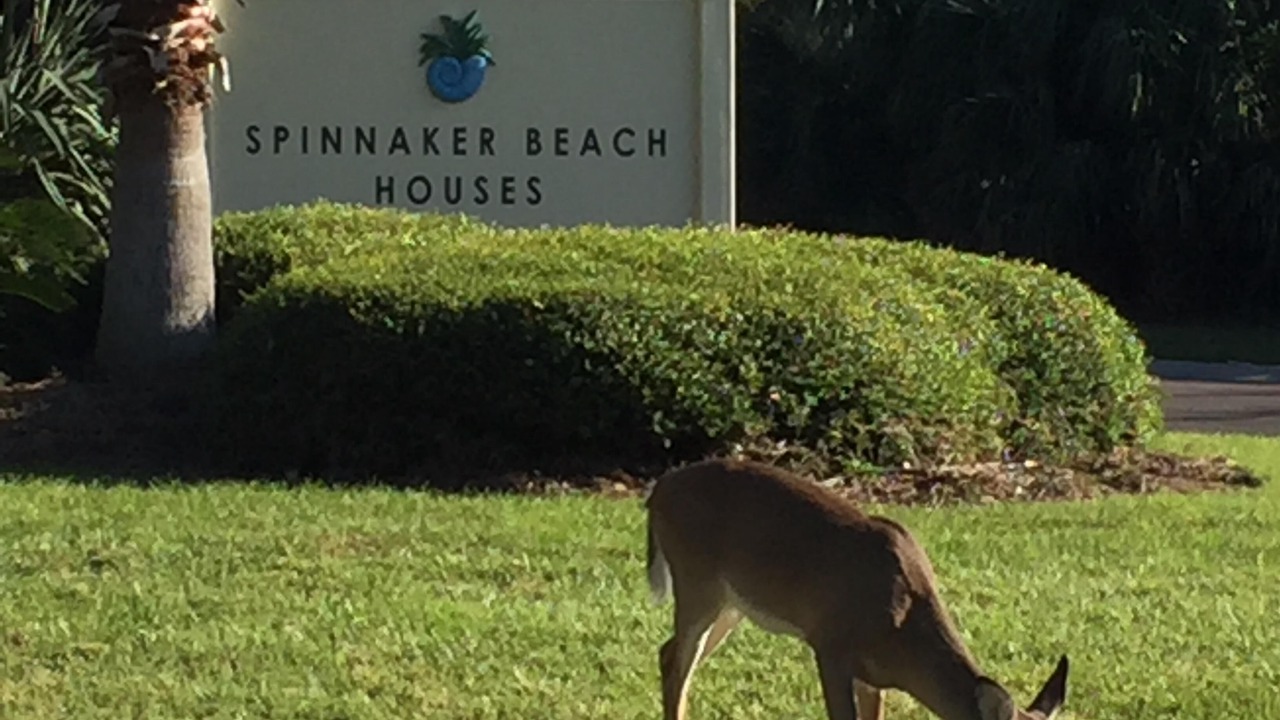 Photo of Outdoor in Spinnaker Beachhouses