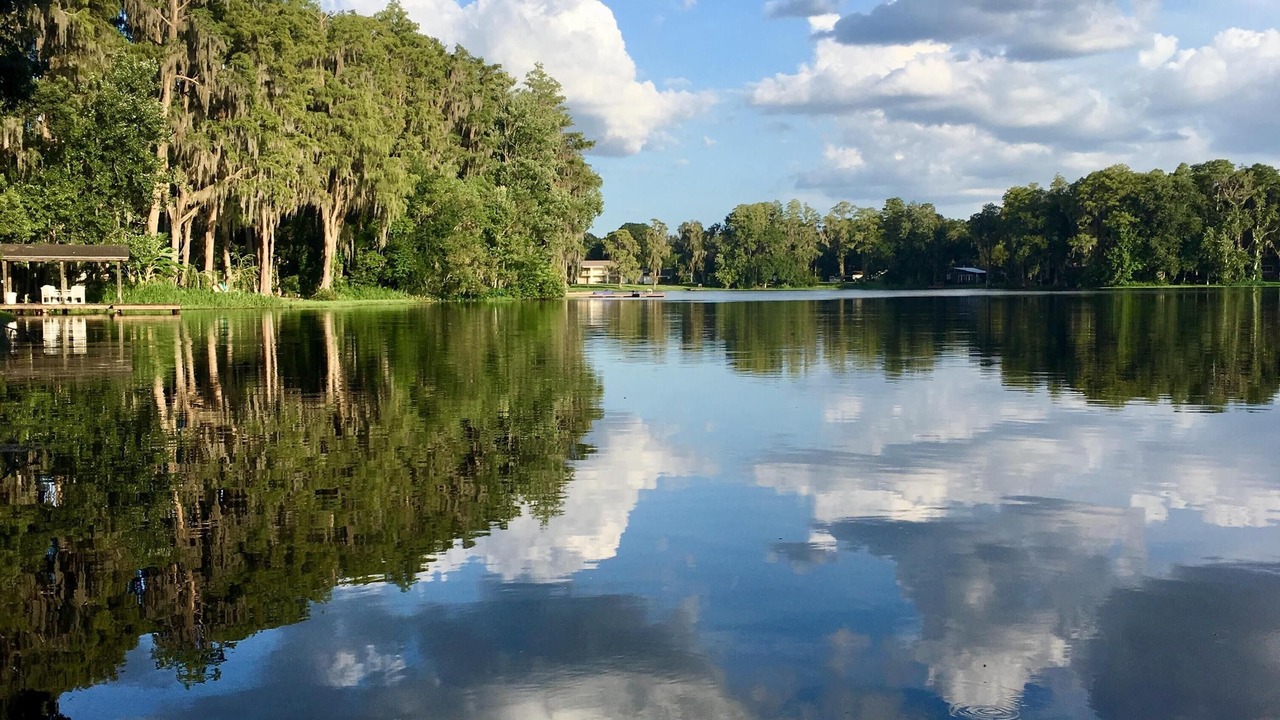 Photo of Outdoor in Lutz