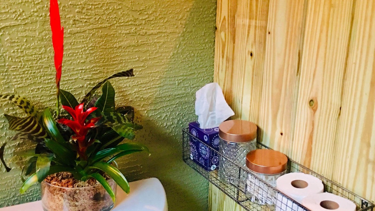 Photo of Bathroom in Lutz