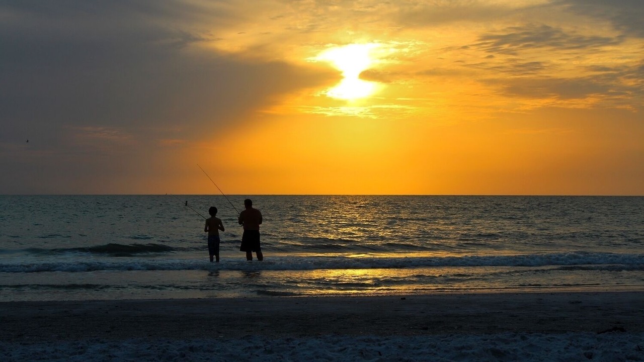 Photo of Others in Indian Rocks Beach