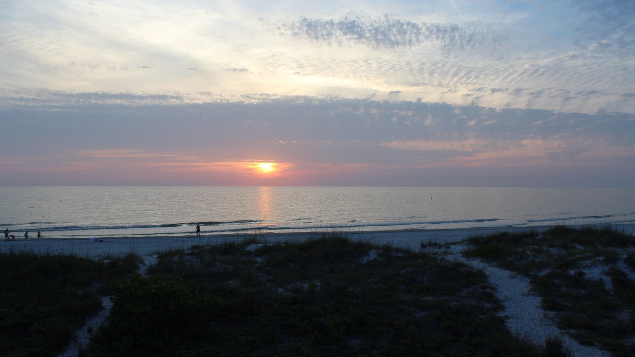 Photo of Others in Indian Rocks Beach