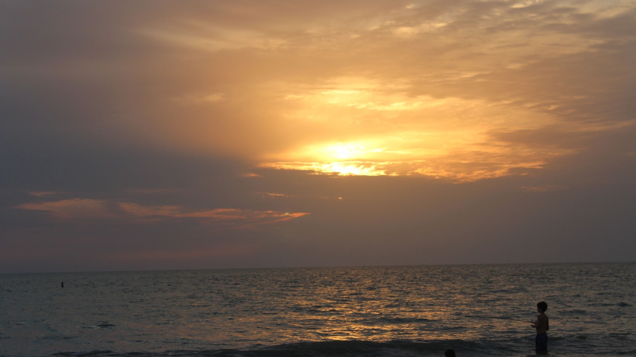 Photo of Others in Indian Rocks Beach