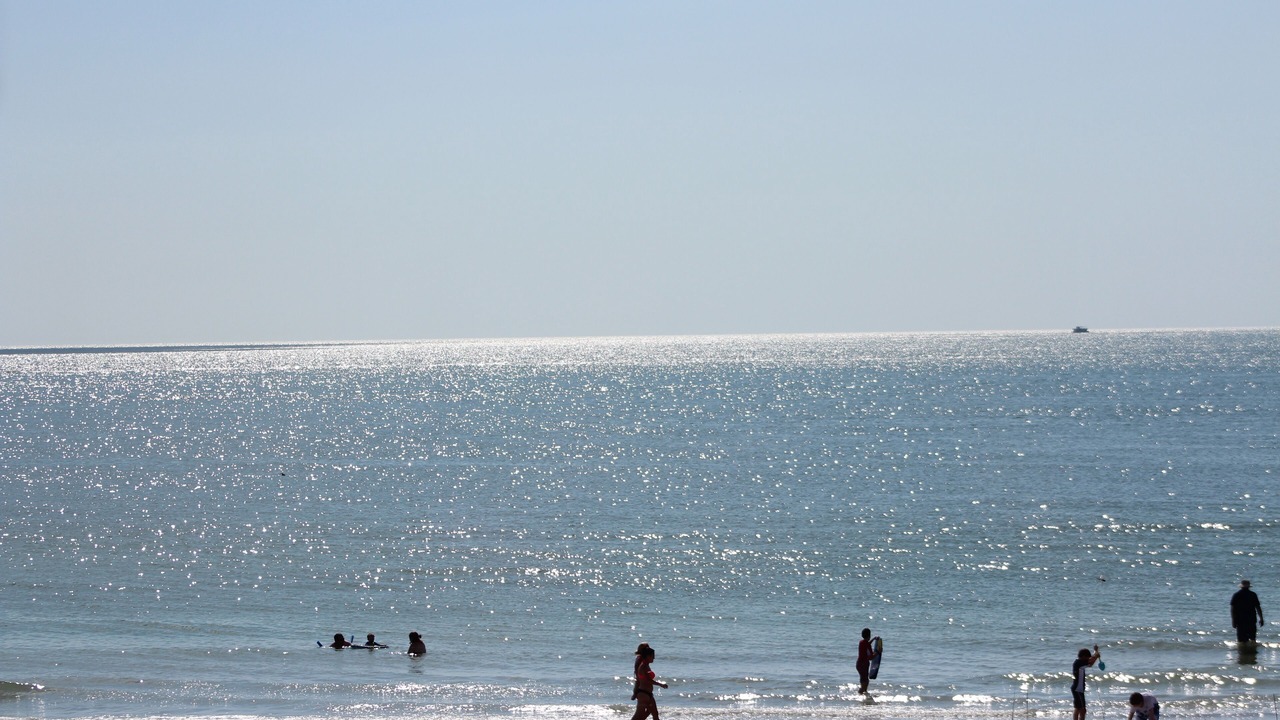 Photo of Others in Indian Rocks Beach