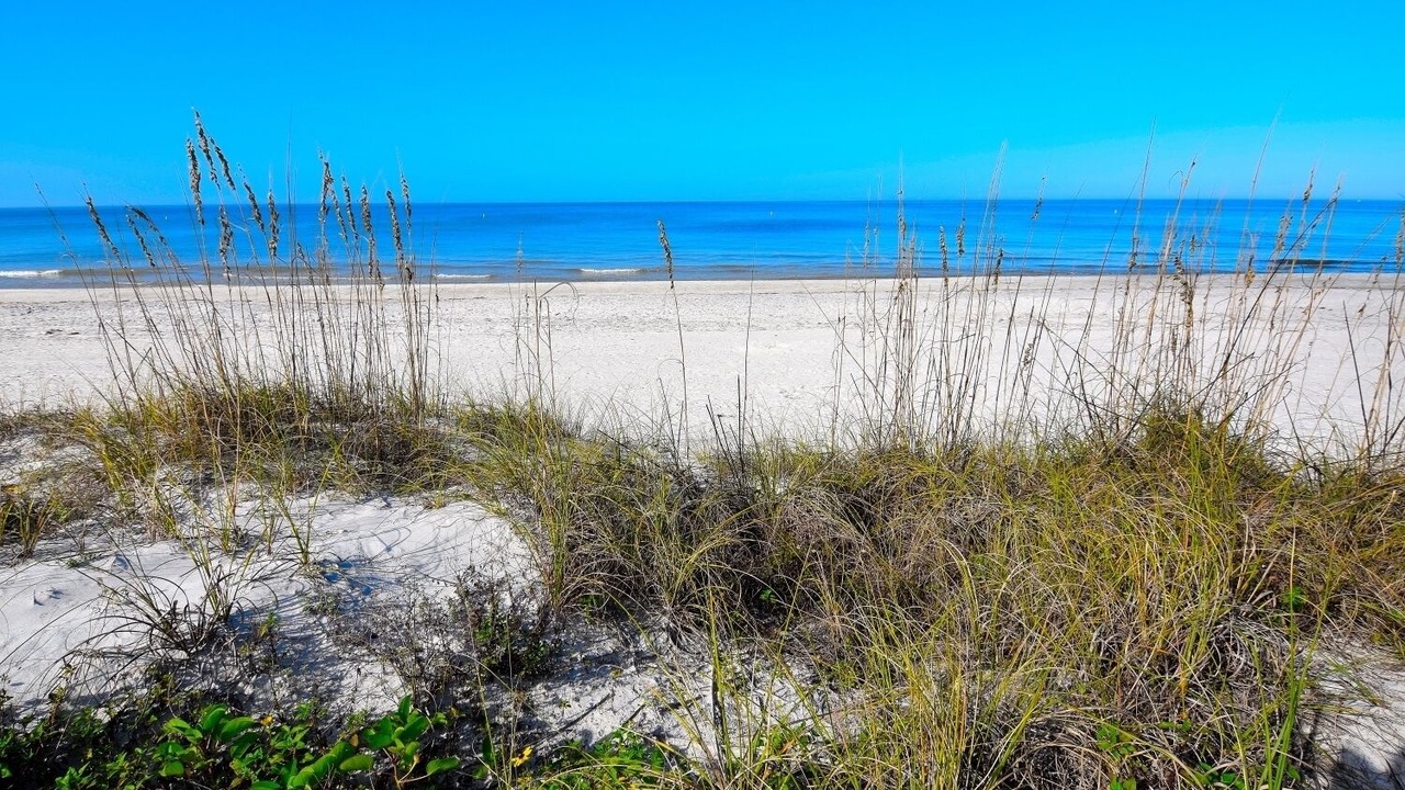 Photo of Others in Indian Rocks Beach