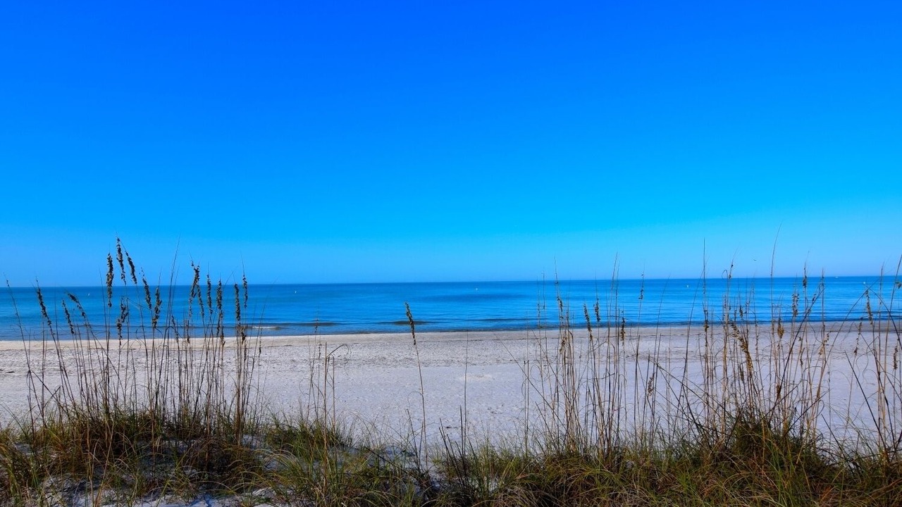 Photo of Others in Indian Rocks Beach