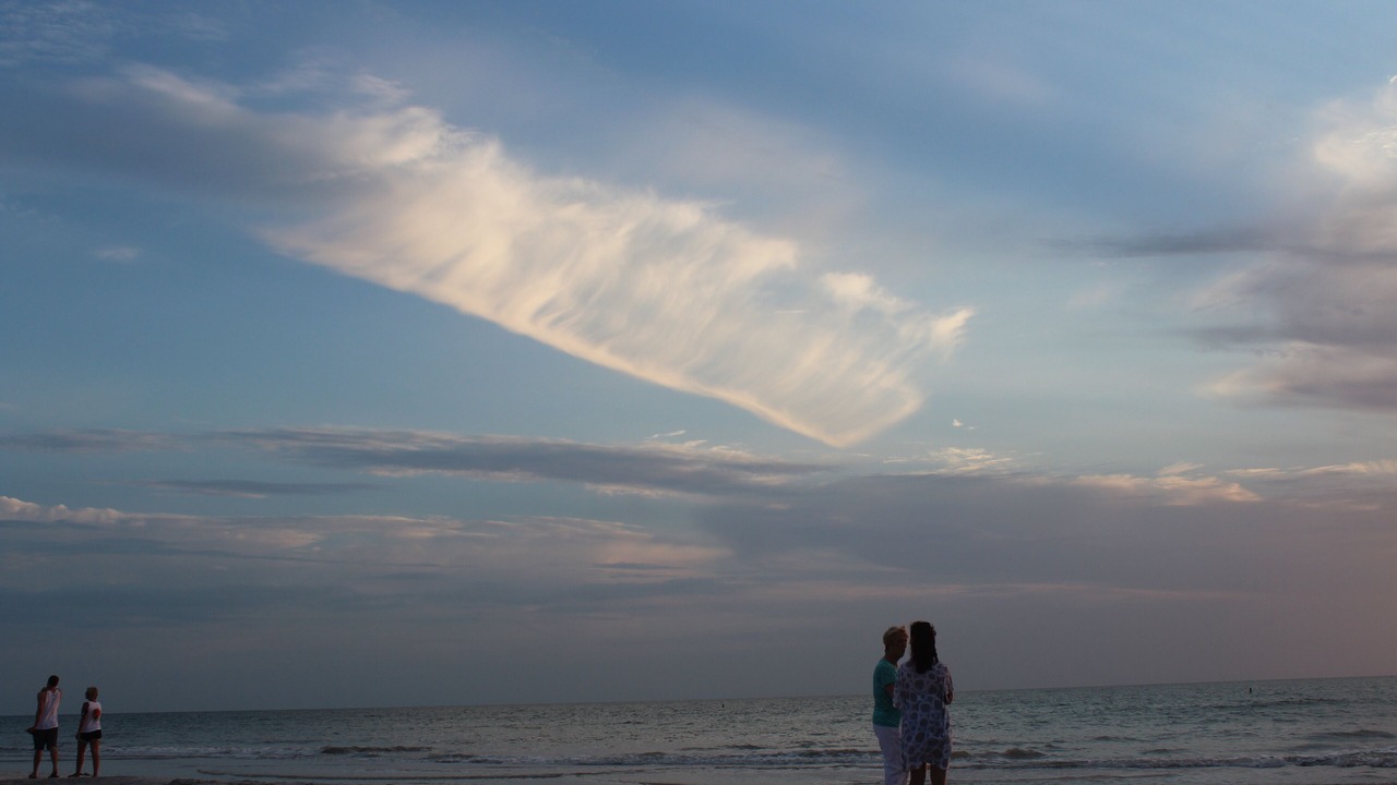 Photo of Others in Indian Rocks Beach
