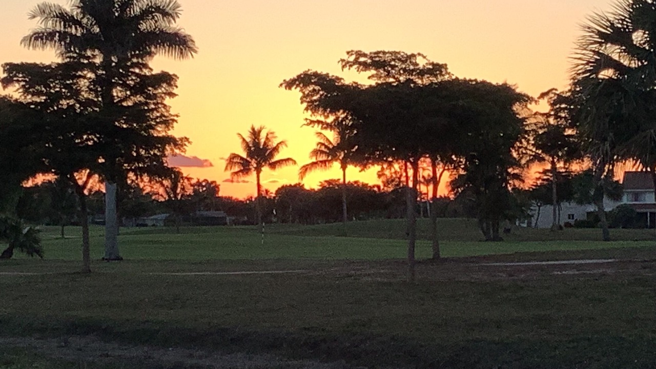 Photo of Others in Lely Golf Estates