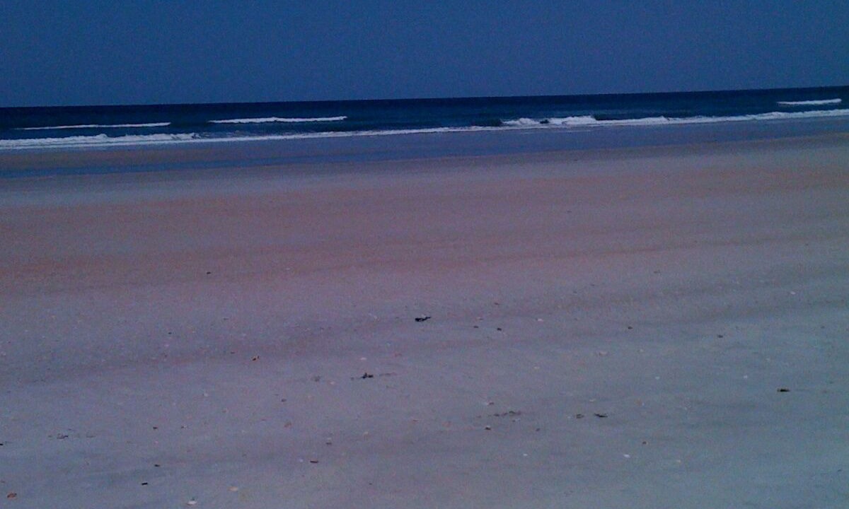 Photo of Others in Palm Coast