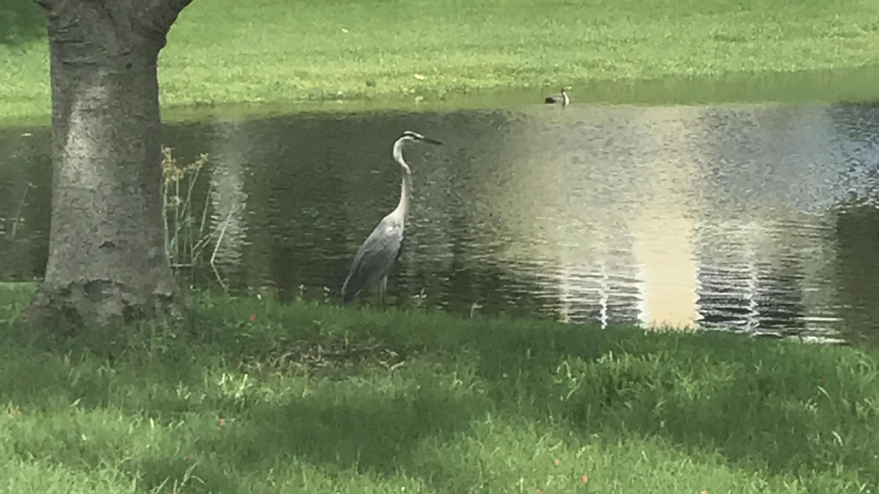 Photo of Outdoor in Cape Haze