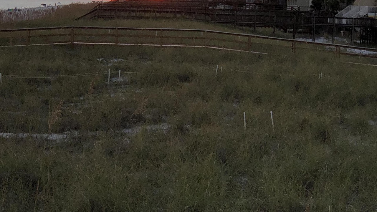 Photo of Outdoor in Navarre Beach
