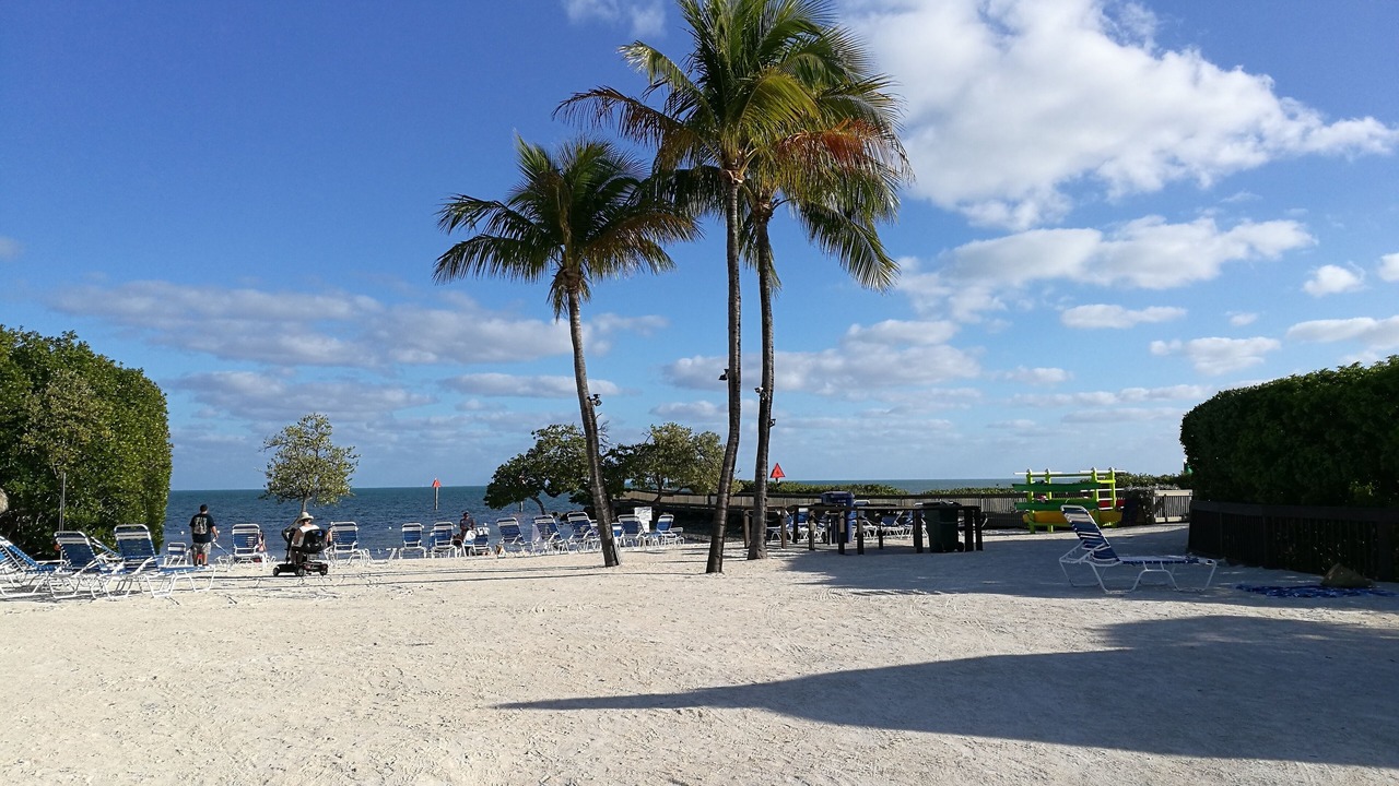 Photo of Others in Tavernier