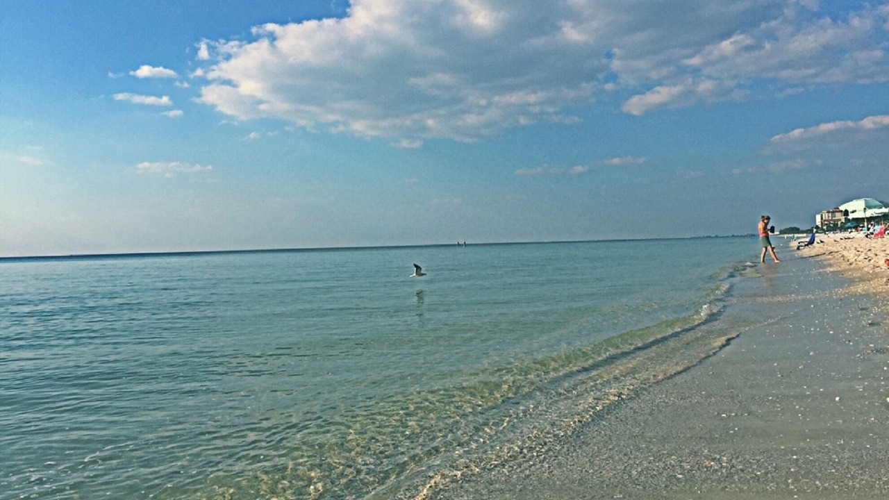 Photo of Others in Naples Park