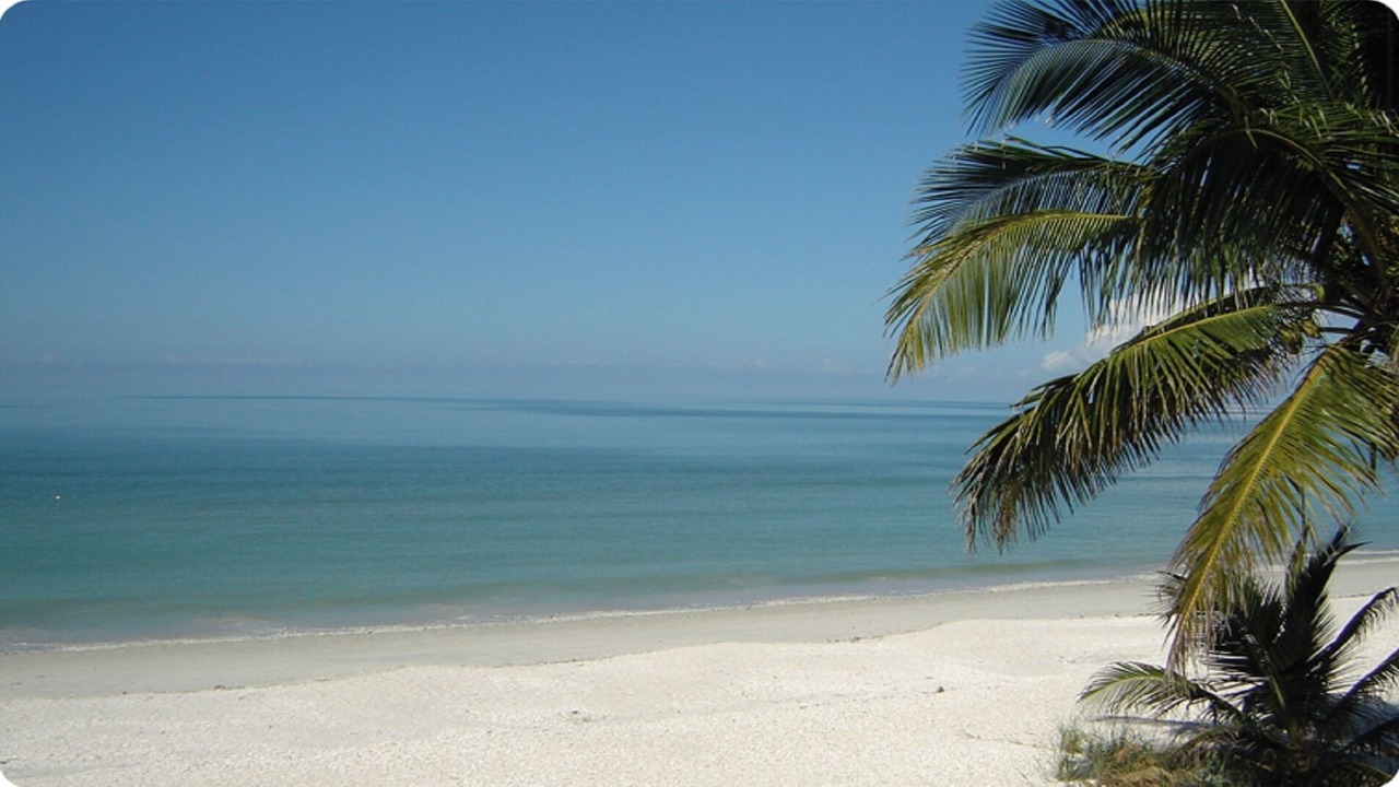 Photo of Others in Estero