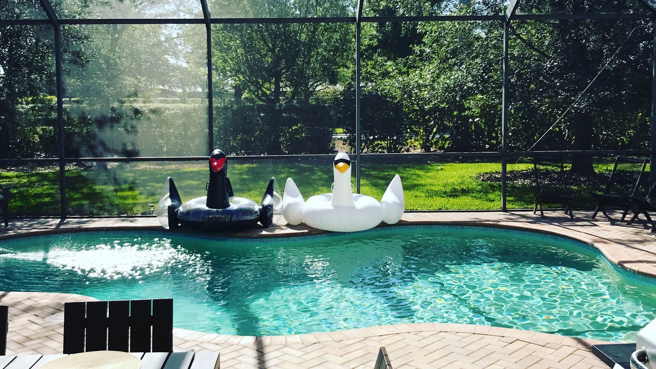 Photo of Outdoor in Estero