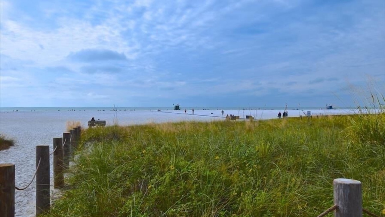 Photo of Others in Siesta Key