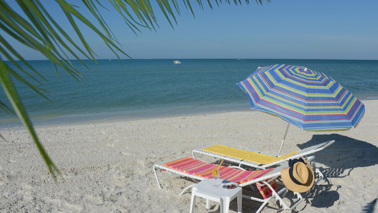 Photo of Others in North Naples