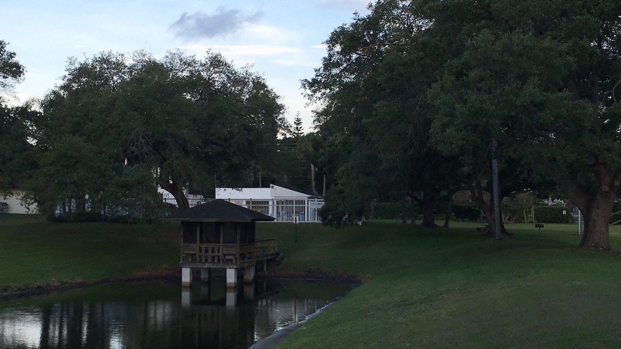 Photo of Outdoor in Bay Towne East