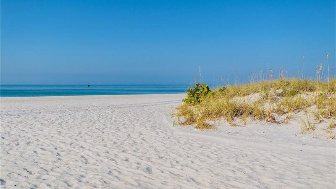 Photo of Others in Madeira Beach
