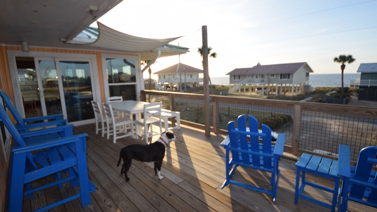 Photo of Others in St. George Island