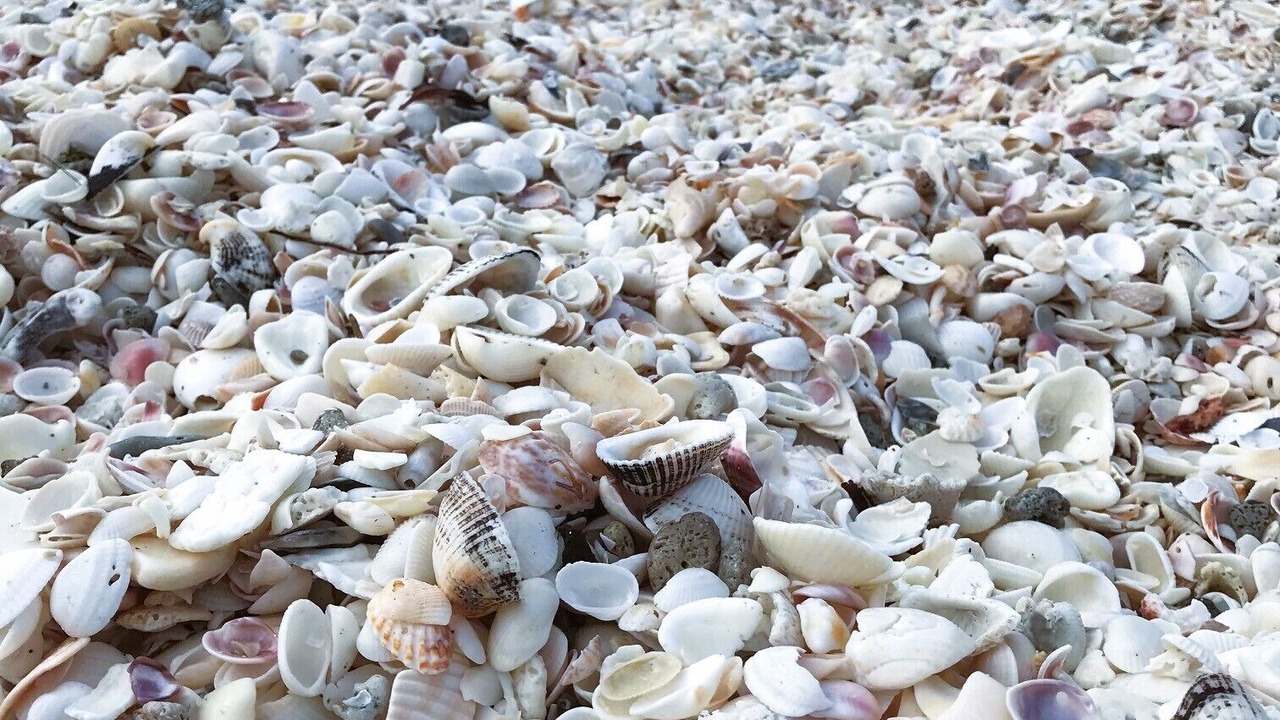 Photo of Others in Bonita Springs