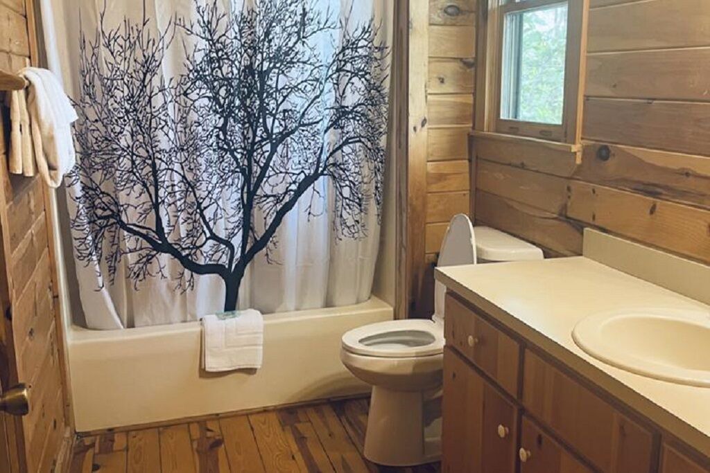 Photo of Bathroom in Pine Mountain