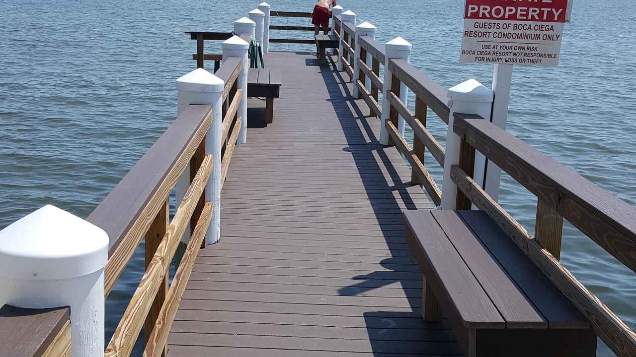 Photo of Others in Madeira Beach