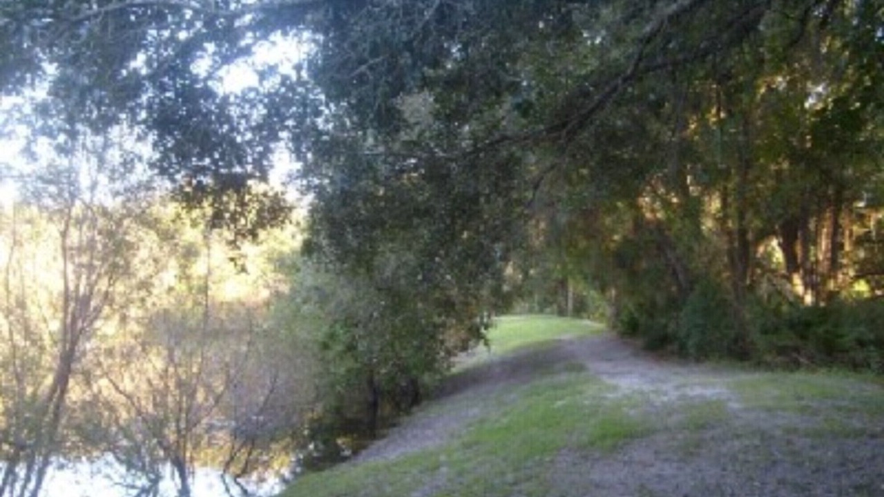 Photo of Others in New Port Richey