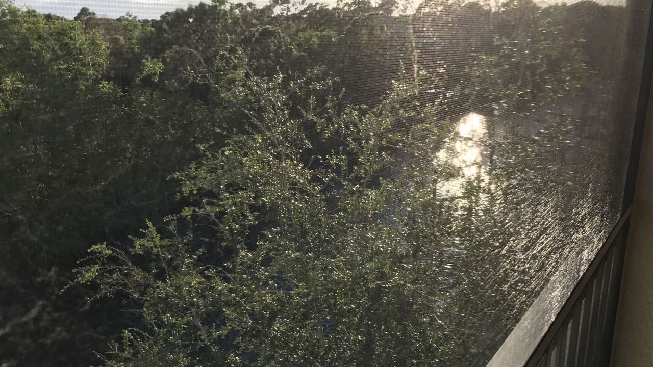 Photo of Others in Fort Myers
