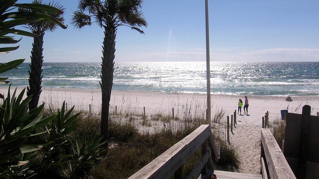 Photo of Others in Sunnyside