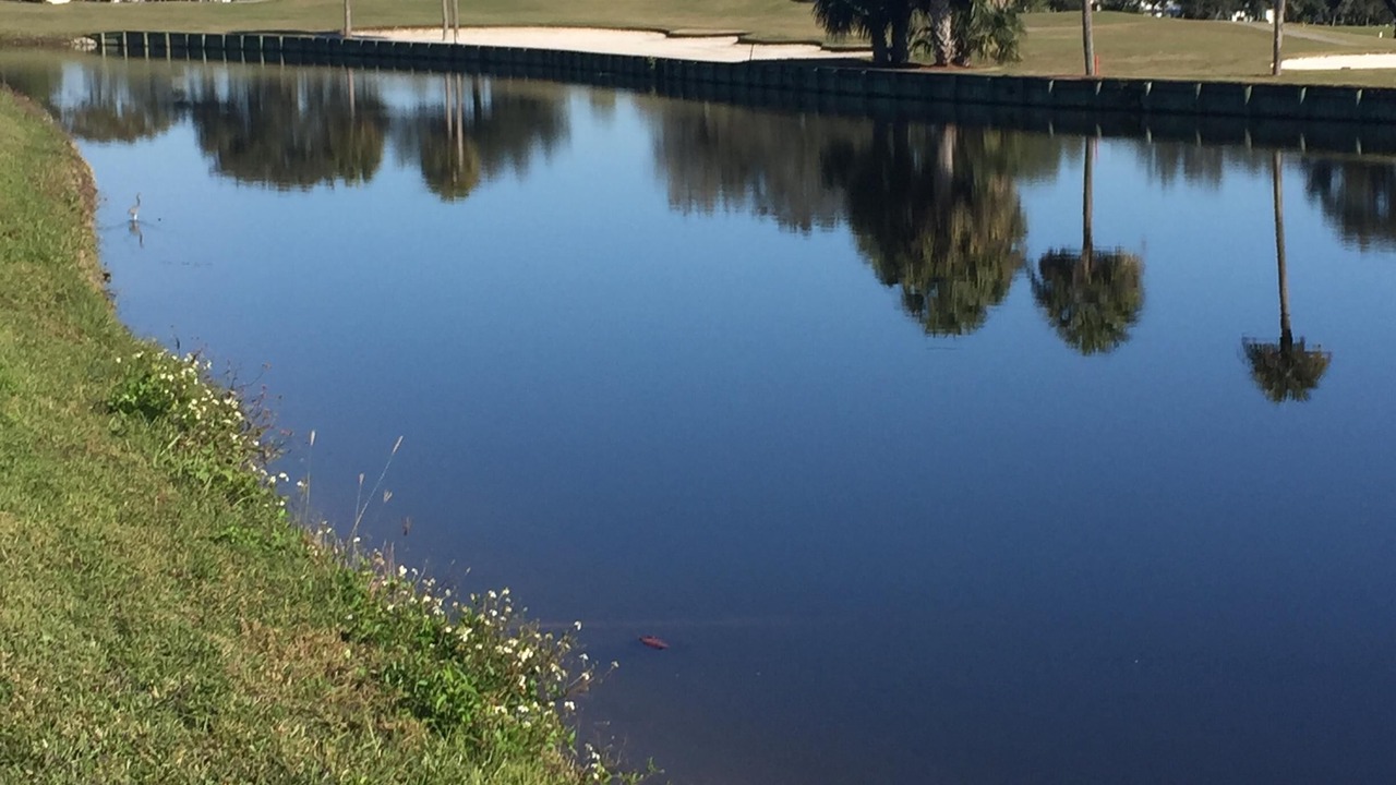 Photo of Outdoor in Plantation