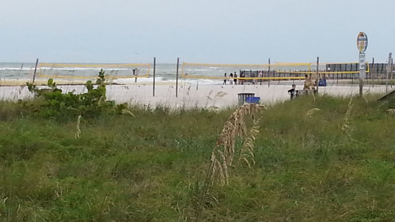 Photo of Others in St. Pete Beach