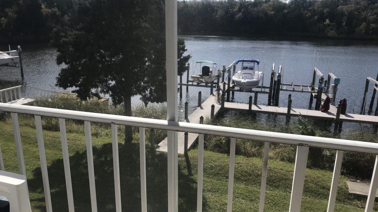 Photo of Outdoor in Crystal River