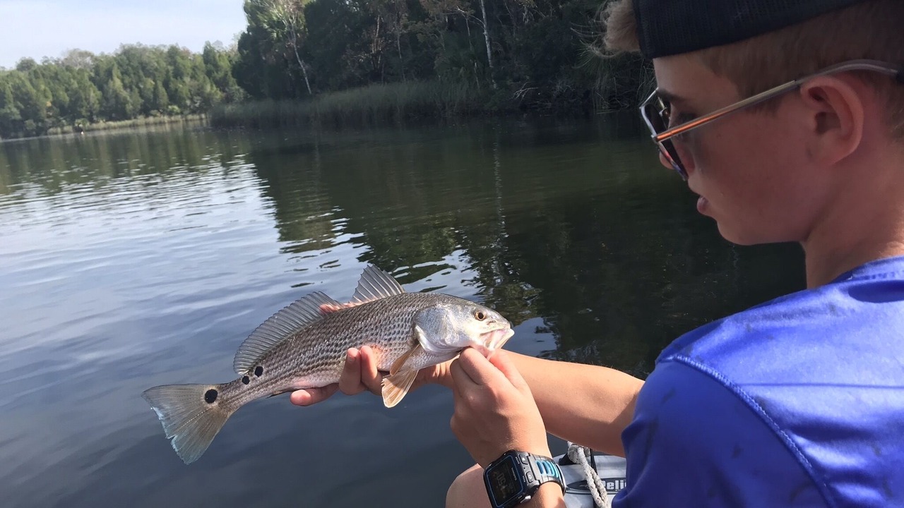 Photo of Others in Crystal River