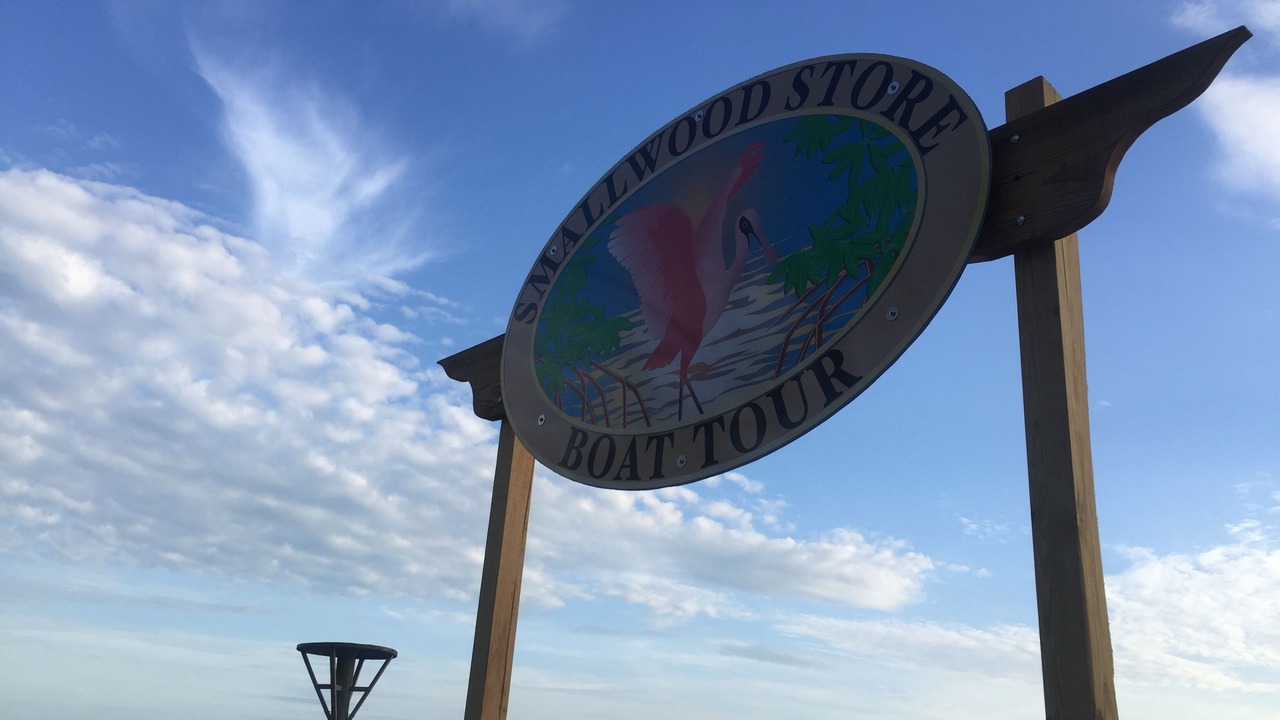 Photo of Others in Everglades City