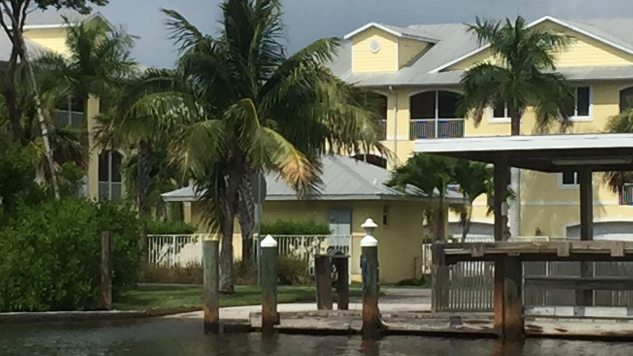 Photo of Others in Everglades City