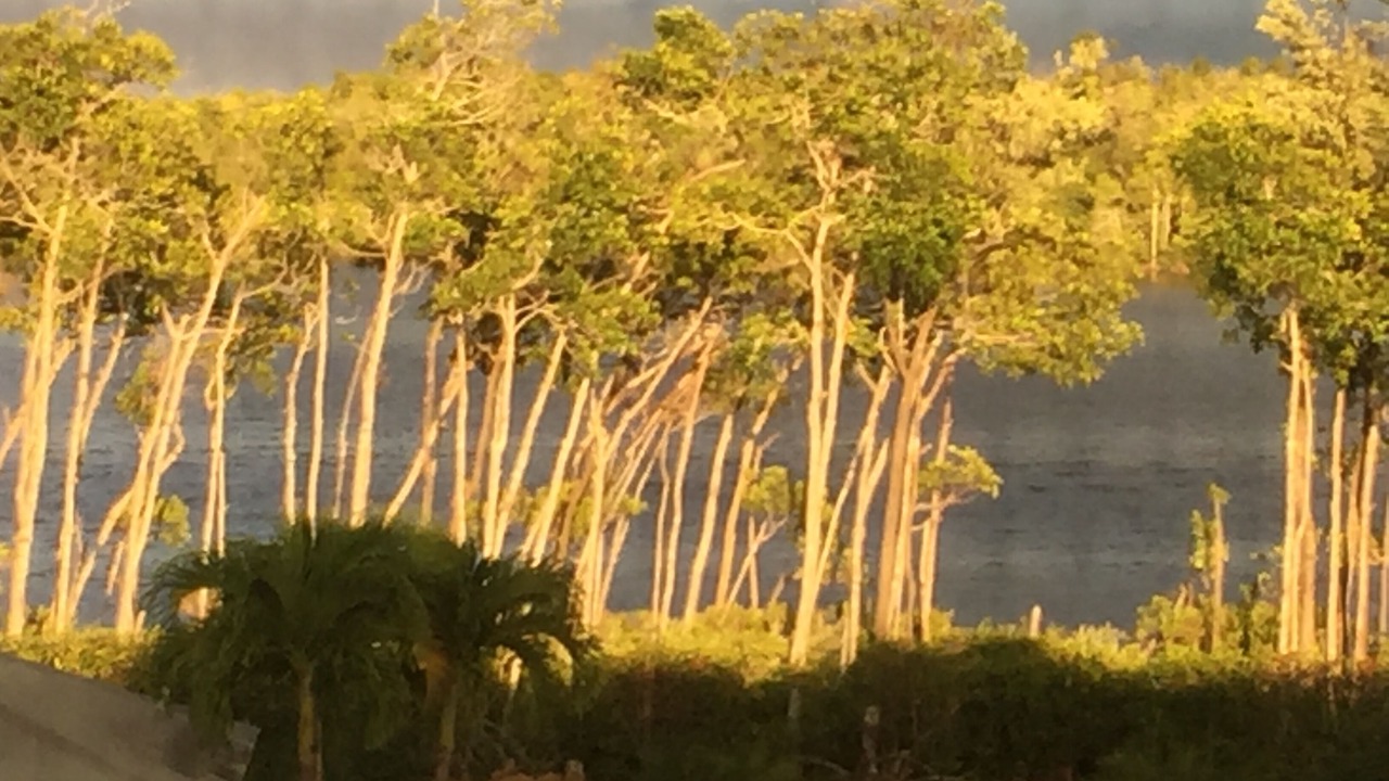 Photo of Outdoor in Everglades City