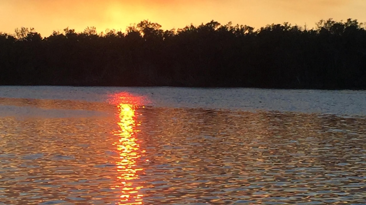 Photo of Others in Everglades City