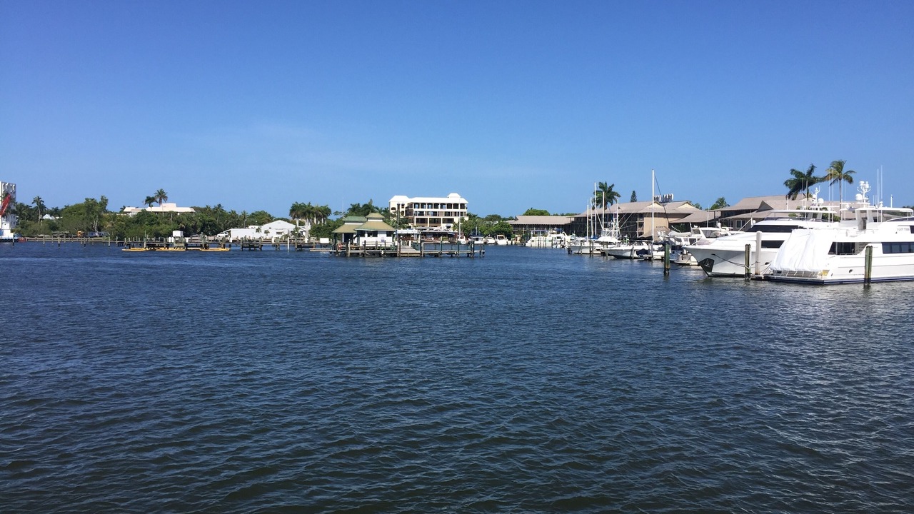Photo of Others in Everglades City
