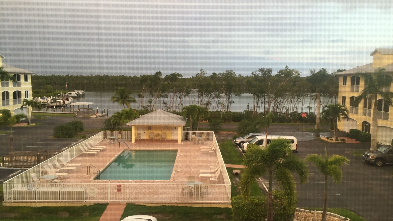 Photo of Outdoor in Everglades City