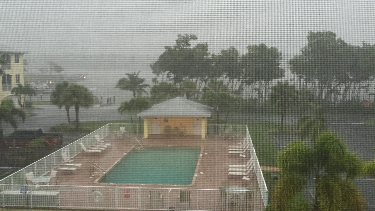 Photo of Others in Everglades City