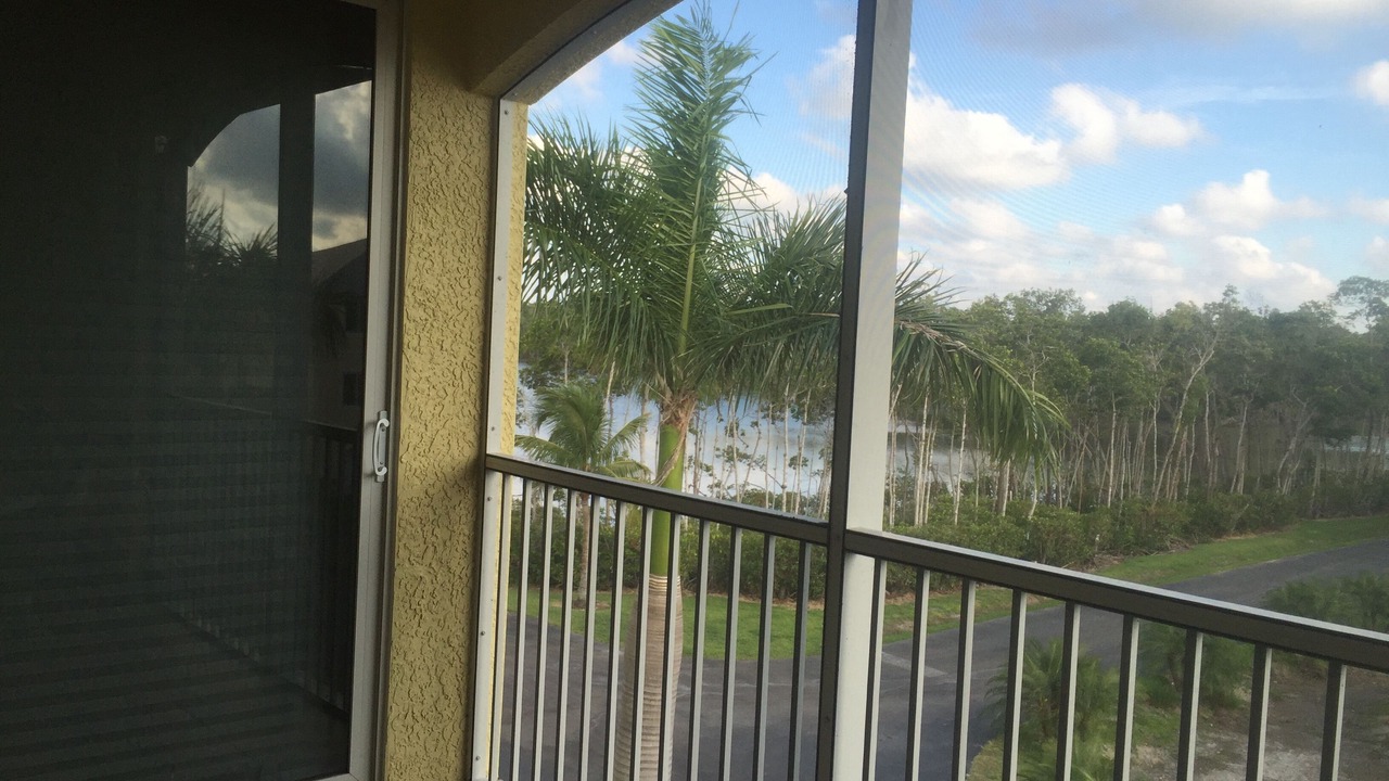 Photo of Outdoor in Everglades City